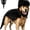 Black, variant on Pet Dinosaur Costume, Soft Plush T-Rex Skeleton Halloween Costume for Dogs | Cosplay Clothes for Medium & Large Dog and Cats Funny Adorable Glow-in-the-Dark Dino Outfits Big Breeds For Party Family