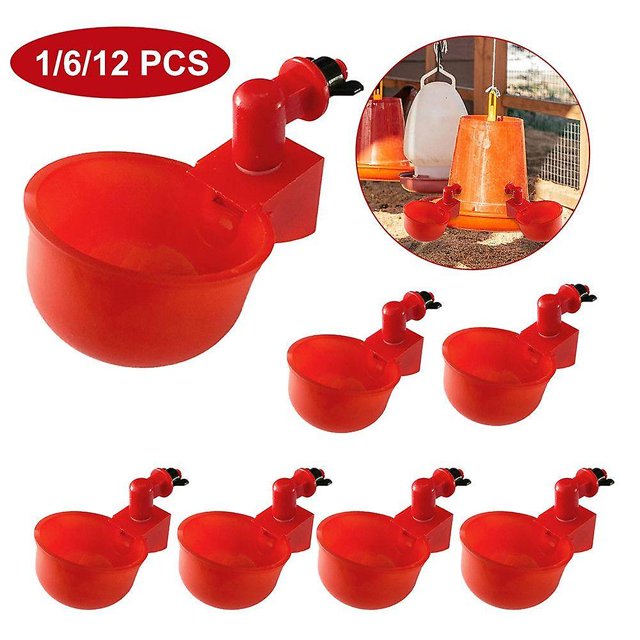 1/6 Uds. Taza de agua automática para aves de granja, codorniz, pollo, gallina, bebedero para pájaros ShuxiuWang 8390611677046