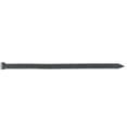 thumbnail image 1 of 59198 16D Hot Galvanized Finishing Nail, 1 of 1