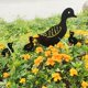 thumbnail image 4 of Estacas decorativas YONGSHENG para jardín adornos artísticos 4 Uds, 4 of 5