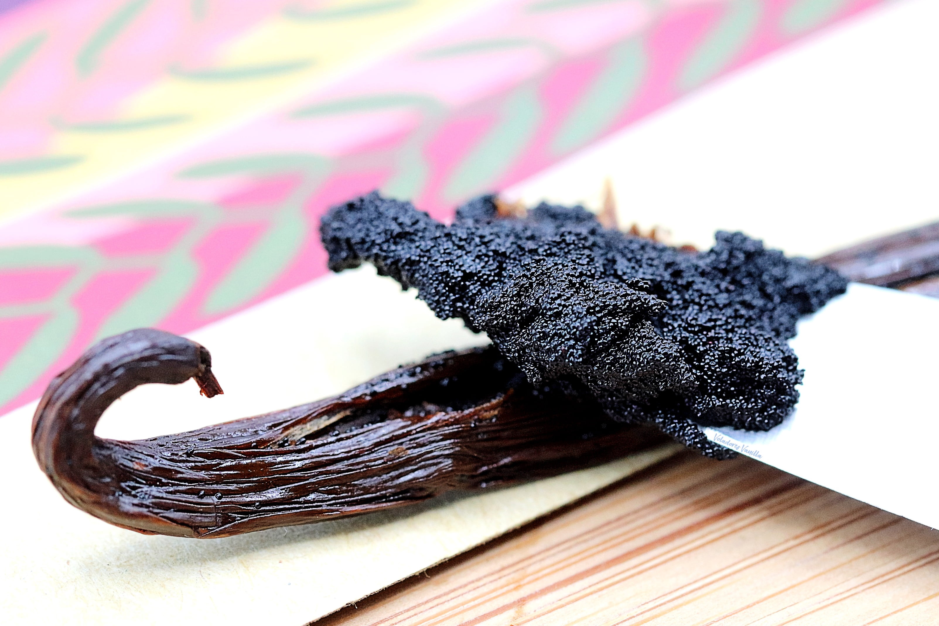 5 Gourmet Grade Mexican Vanilla Beans - Voladores Vanilla