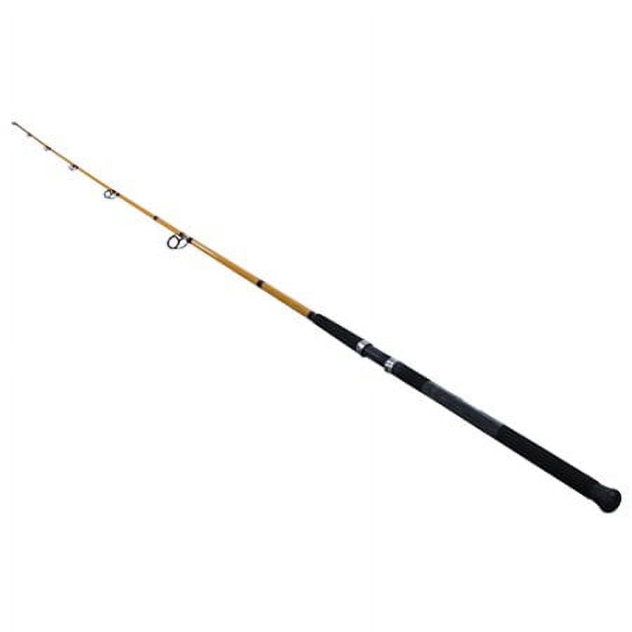 Daiwa FT Series Fiberglass Surf Spinning Rod, 10 ft, 2-piece, Medium Power