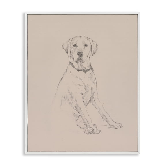 Stupell Industries Farmhouse Retriever Dog Minimal Drawing White Framed Giclee Art, 11 x 14, by Ethan Harper
