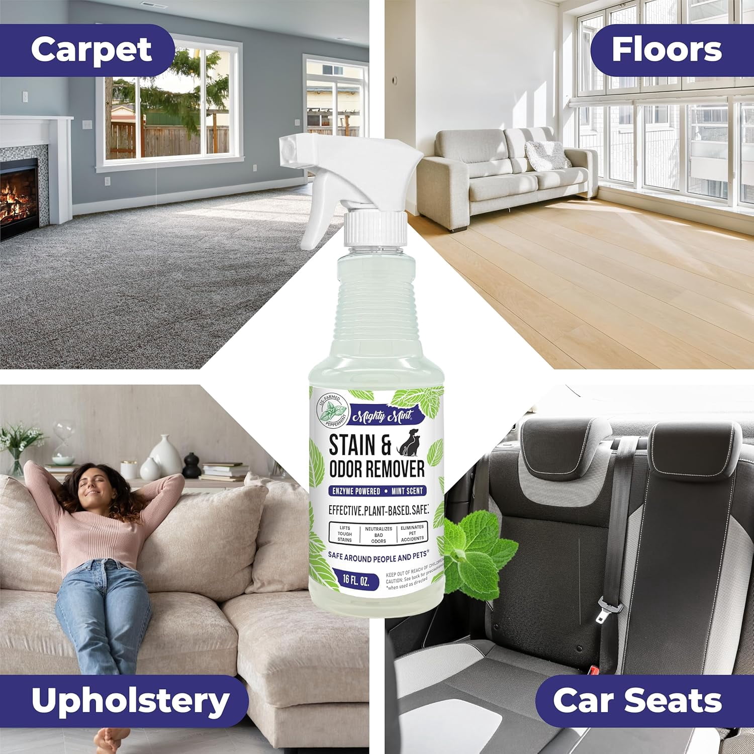 Stain & Odor Remover, Natural Enzyme Spray Safely Neutralizes Odor and Stains from Dogs, Cats on Carpet, Furniture, Natural Peppermint Scent, 16oz