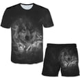 thumbnail image 2 of Conjuntos de ropa de lobo de 1 a 14 años para niños y niñas, camisetas de manga corta, pantalones cortos, trajes Unisex de 2 uds, ropa informal de dibujos animados para niños, trajes 3T Gao Jinjia LED, 2 of 2