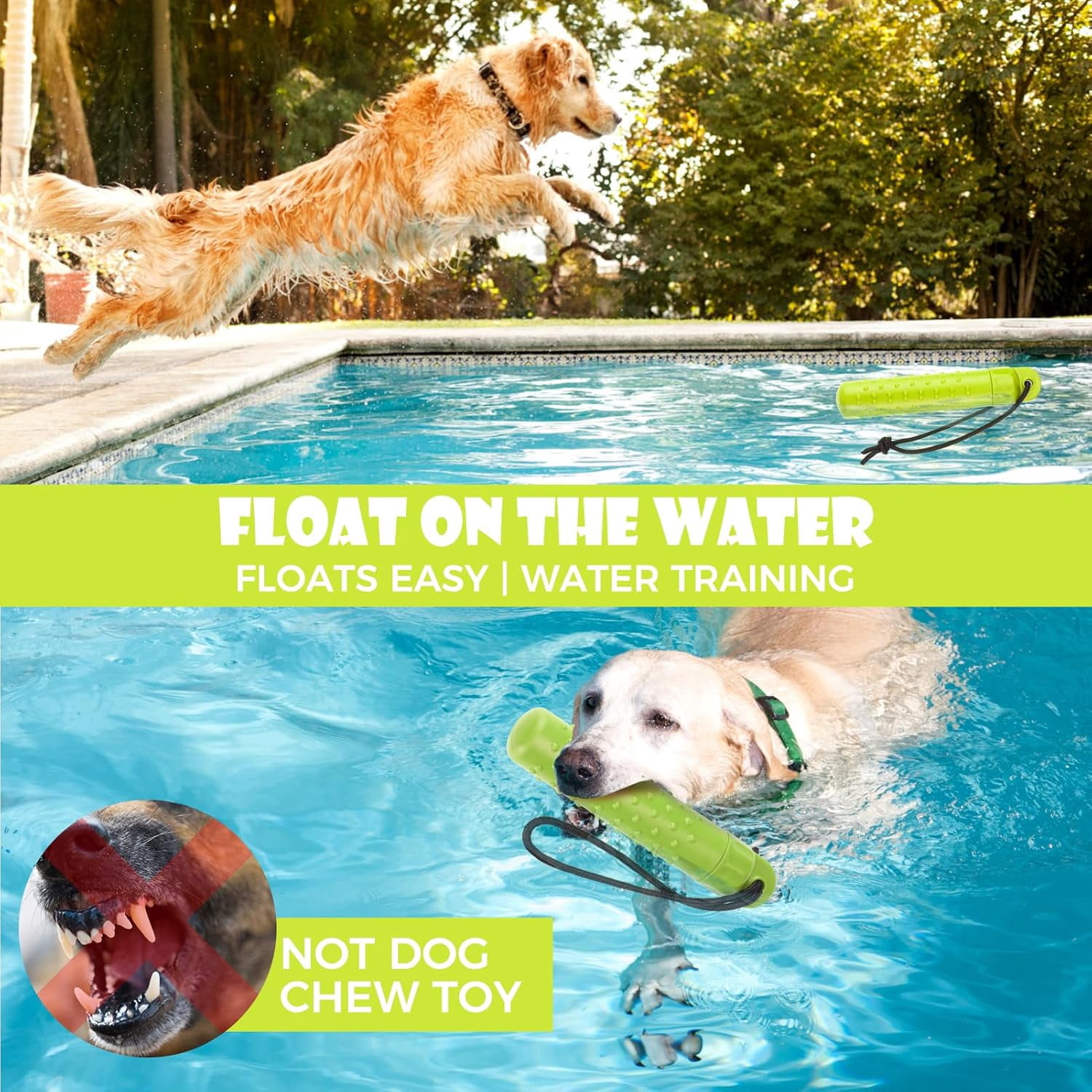 Dog Float Bumper Toy 2 Pack,9.3 Inch Detachable Treat Dispensing Puzzle Toys,Training Dummy Retrieving Bumpers Summer Pool Toy Tug Game,Interactive Toys for Medium Large Dogs(Red & Green)