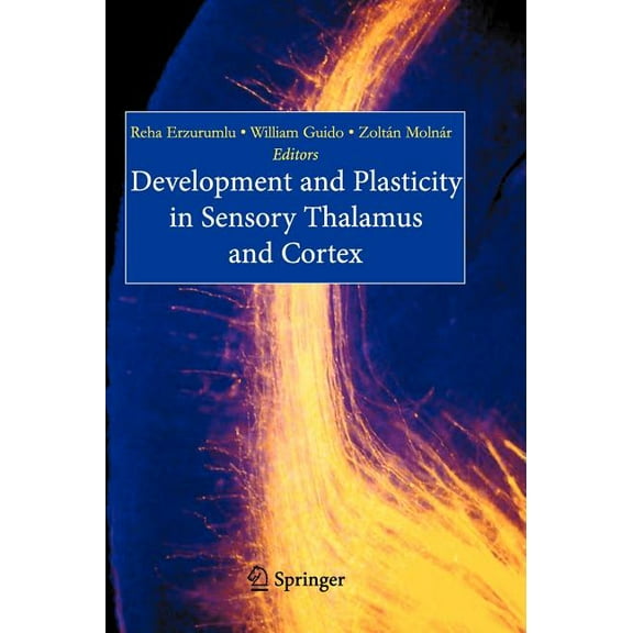 Development and Plasticity in Sensory Thalamus and Cortex, (Hardcover)