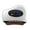 white, variant on XIRQI Scraping,Microcurrent Facial Technology Face Lift Device,Reduces Fine Lines & Wrinkles Face Massager Tool,White