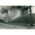 thumbnail image 1 of Posterazzi SAL9901992 Poster Print - 18 x 24 in., 1 of 1