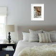 thumbnail image 6 of American Red Squirrel Red Squirrel Spruce Squirrel Tamiasciurus Hudsonicus, Framed Art Print Wall Art by James Hager Sold by Art.Com, 6 of 6