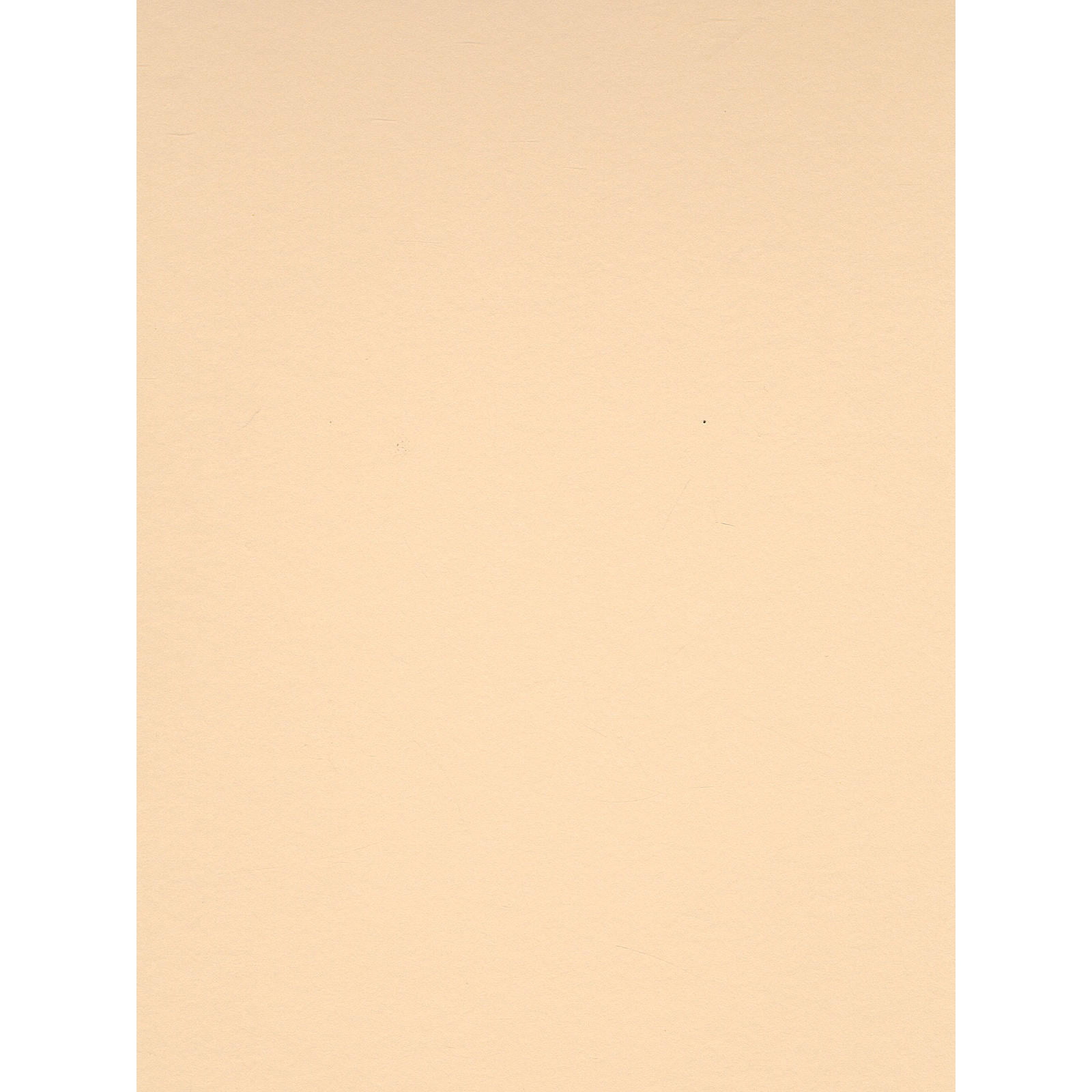 Colorline Heavyweight Paper Sheets Light Grey 300 GSM 19 in. x 25 in.