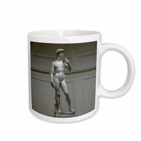 

3dRose Michaelangelos David Statue Ceramic Mug 11-ounce
