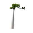 thumbnail image 5 of Esquirla Tall Ceramic Flower Vase Floor Vase Minimalist Decoration Plant Pot Slender Vase Bud Vase for Home Christmas Desk Living Room White Branch, 5 of 8