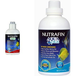 Aquarium Water Treatment for Fish Health: Ultimate Care Tips