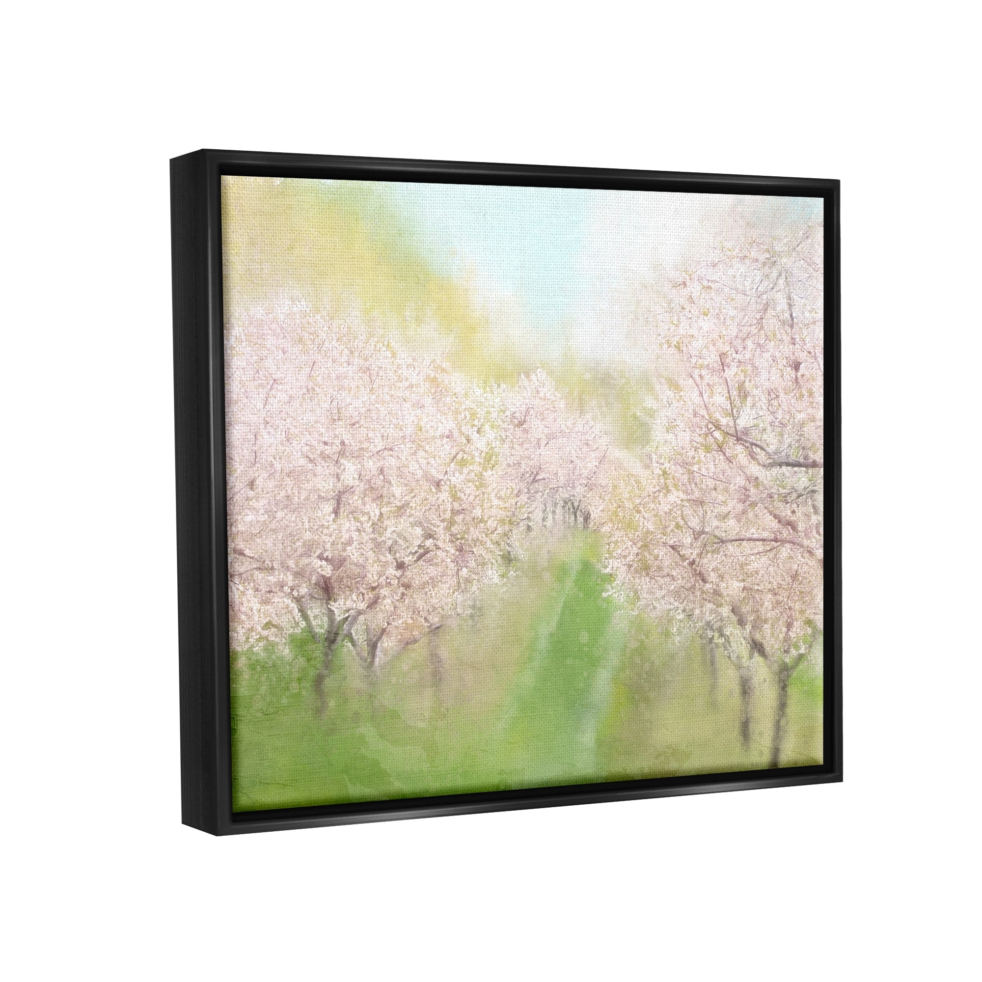 Stupell Industries Spring Cherry Blossom Orchard Grove Pink Petals Painting Jet Black Floating Framed Canvas Print Wall Art, Design by Kim Allen
