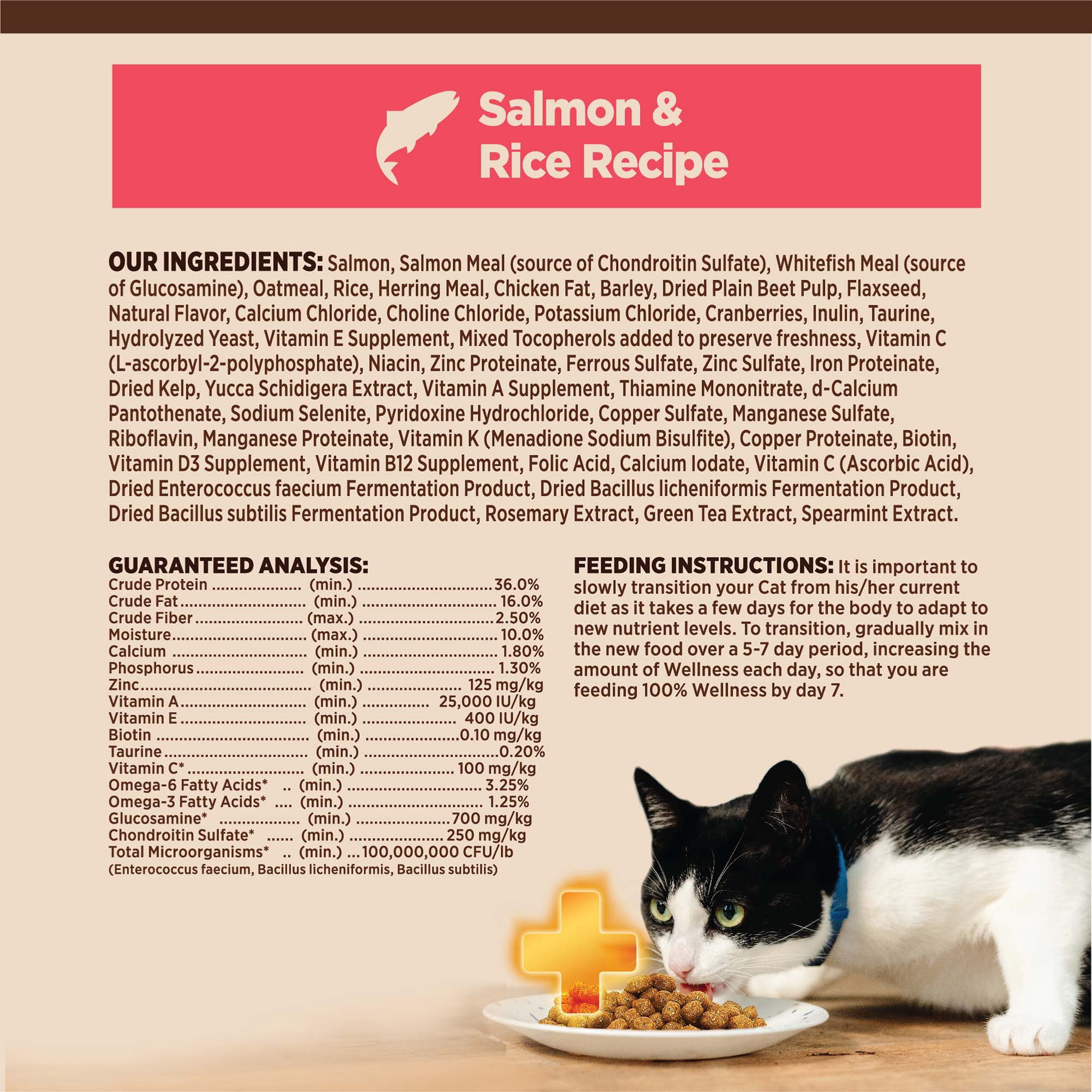 Wellness CORE+ Digestive Health Salmon & Rice Dry Cat Food, 5 Pound Bag