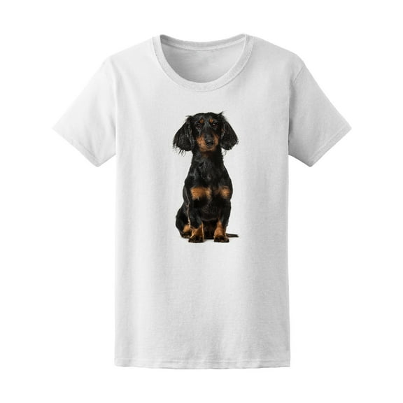 Cute Dachshund Sitting T-Shirt Men -Image by Shutterstock, Male XX-Large