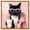 Gold Frame, variant on Resting Cat Face Framed High-Gloss Acrylic Glass Wall Art Cute Cat Art Prints by Art Remedy, Gold Frame, 20 x 20