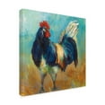 thumbnail image 2 of Jeanette Vertentes 'Cocky' Outdoor Canvas, 2 of 3