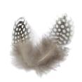 thumbnail image 2 of 50pcs Lots Dyed Guinea Hen Feather Chicken Feathers Craft, 2 of 7