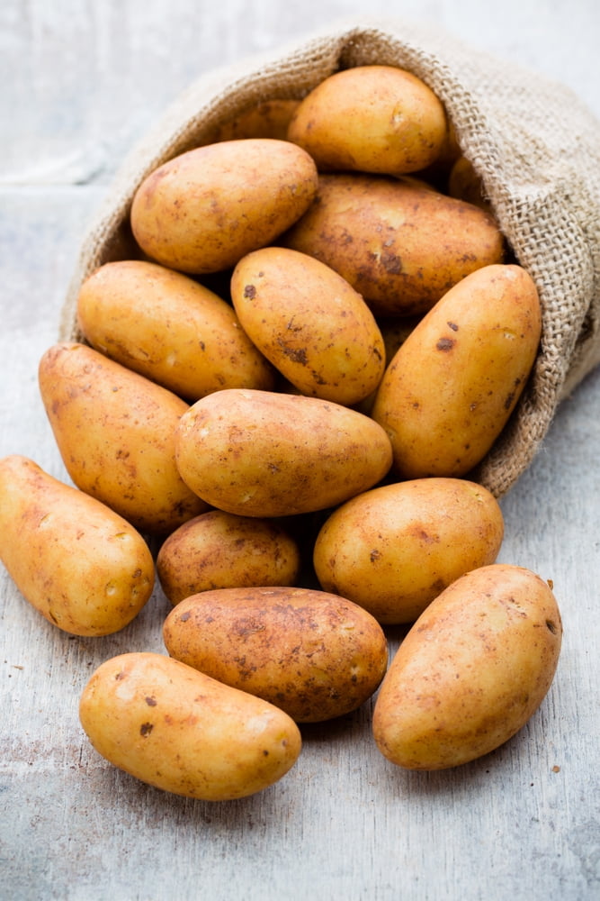 Russet Seed Potatos for Planting - Easy to Grow (5 Pounds)