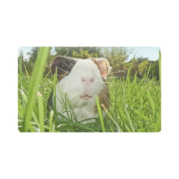YUSDECOR Guinea Pig Dutch Rats Doormat Rug Home Decor Floor Mat Bath Mat 30x18 inch