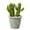 D, variant on Cheer.US Artificial Succulent Plants Faux Cactus Decorative Faux Succulents Potted Fake Cactus Cacti with Gray Pots Rock Sand Included Artificial Faux Cactus for Bathroom/Home Decor House Decorations