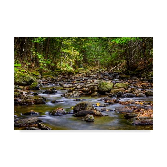 Trademark Fine Art 'Chase Brook 1' Canvas Art by Brenda Petrella Photography Llc