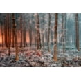 thumbnail image 2 of Kravanja, Jure 24x17 White Modern Wood Framed Museum Art Print Titled - Ice And Fire, 2 of 4