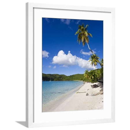 Cinnamon Bay Beach And Palms St John U S Virgin Islands West Indies Caribbean Framed Print Wall Art By Gavin Hellier Walmart Com