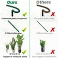 thumbnail image 4 of 2 Pack Plant Support Plant Stakes,Metal Peony Cages and Supports, Outdoor Garden Stakes Plant Cage, Large Plant Support Rings for Tomato,Rose,Flowers Vine,Indoor Tall Plants (10" W x 15.8" H), 4 of 6