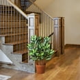 thumbnail image 3 of 30 in. Artificial Hosta Plant, 3 of 3