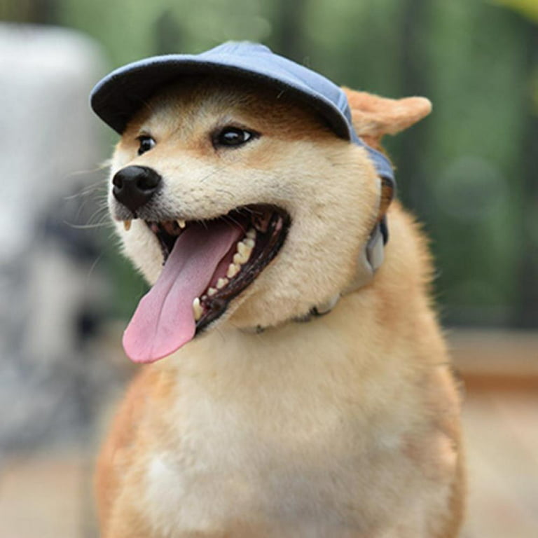 Dog Baseball Cap, Adjustable Dog Outdoor Sport Sun Protection Baseball Hat  Cap Visor Sunbonnet Outfit with Ear Holes for Puppy Small Dogs