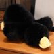 thumbnail image 1 of Lindos animales de peluche de pato de la suerte, suaves almohadas de peluche de pato negro, lindos juguetes de peluche de pato blando para abrazar, regalos para niños, Navidad, día de San Valentín, 1 of 7