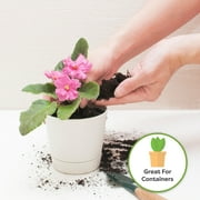 Perfect Plants African Violet Soil 2qt. - Hand Mixed Organic Plant Mix for Potted Violets