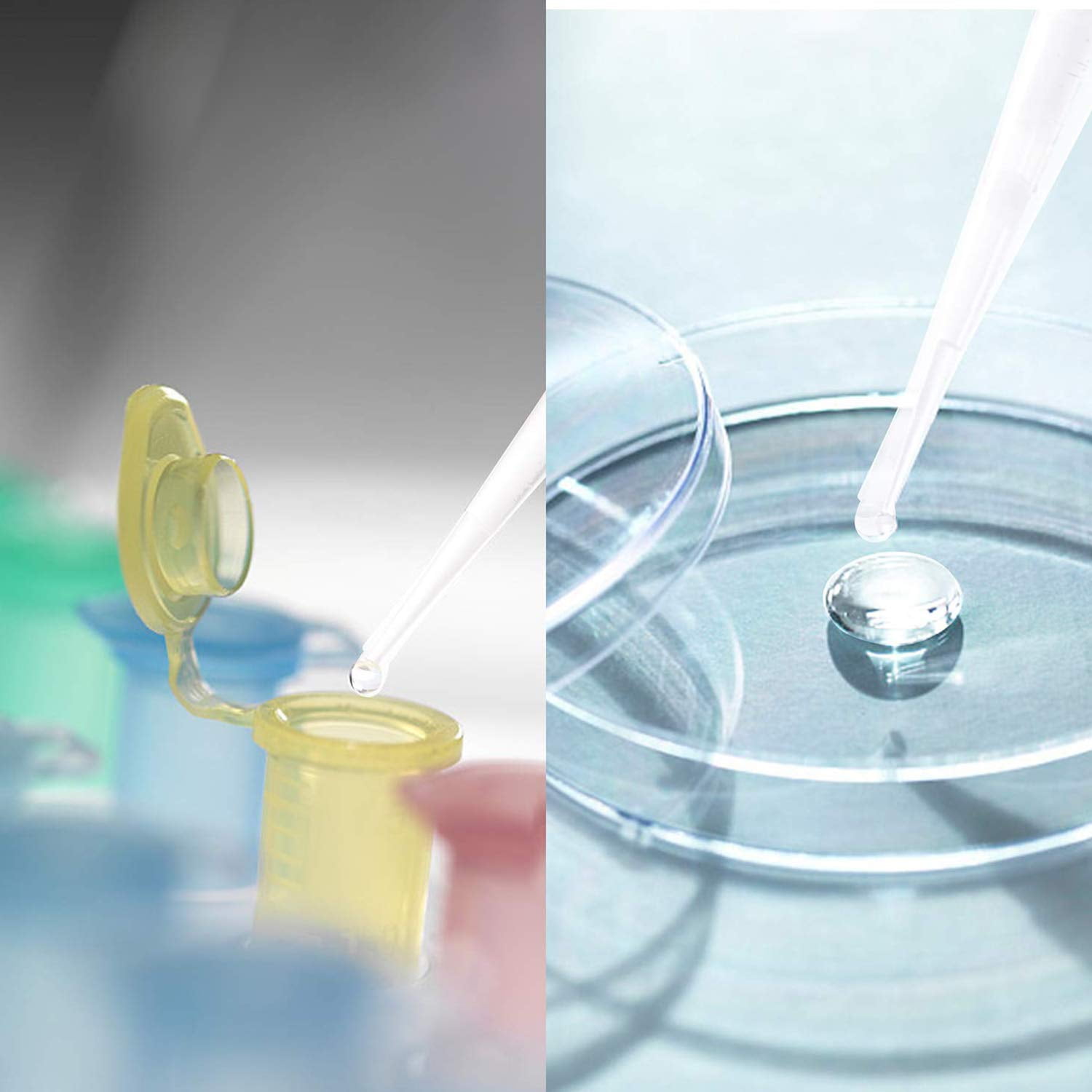 1/3/5/7/10ml Disposable Laboratory Pipettes Dropper, Plastic Transfer Pipette for transfering Liquids and Other Liquid use.