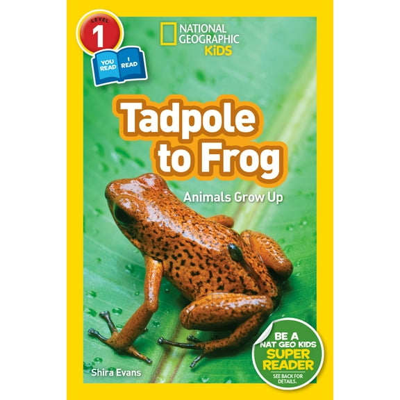 Pre-Owned Tadpole to Frog (National Geographic Kids Readers, Level 1/Co-Reader): Animals Grow Up (Paperback) 1426332033 9781426332036