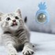 thumbnail image 2 of Piña Catnip Lickable Ball Interactivos Hierba Gatera Suministros para (Azul Claro), 2 of 5