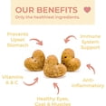 thumbnail image 3 of Pupums Healthy Sweet Potato Dog Treats | All Natural Dog Biscuits with 100% Human Grade and Non-GMO Ingredients | Made in The USA | Handcrafted | Made For All Dog Sizes and Ages | Various Flavors, 3 of 6