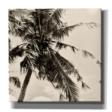 Epic Graffiti 'Palm Tree Sepia II' by Debra Van Swearingen, Canvas Wall Art, 18"x18"