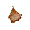 thumbnail image 6 of DecMode 28" x 13" Brown Teak Wood Handmade Live Edge Leaf Tray, 1-Piece, 6 of 9