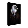 thumbnail image 2 of Santiago Pascual Buye 'Vulture Portrait Ii' Canvas Art, 2 of 3