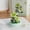 7417 Asia Lily, variant on HZLKADAQ Mini Building Block Flower Set with Dust Cover, Artificial Forever Flower Bouquet, DIY Botanical Construction Toy for Adults & Kids, Home Office Desk Decor, Creative Gift Idea