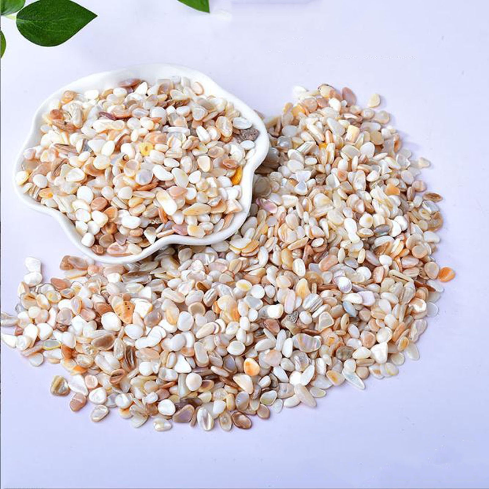 Natural Shell Gravel Pebbles,1.1lb Decorative Aquarium Gravel Pebble River Rock Stones for Vase Filler, Plant Pots, Landscaping, Aquariums, Home and Garden