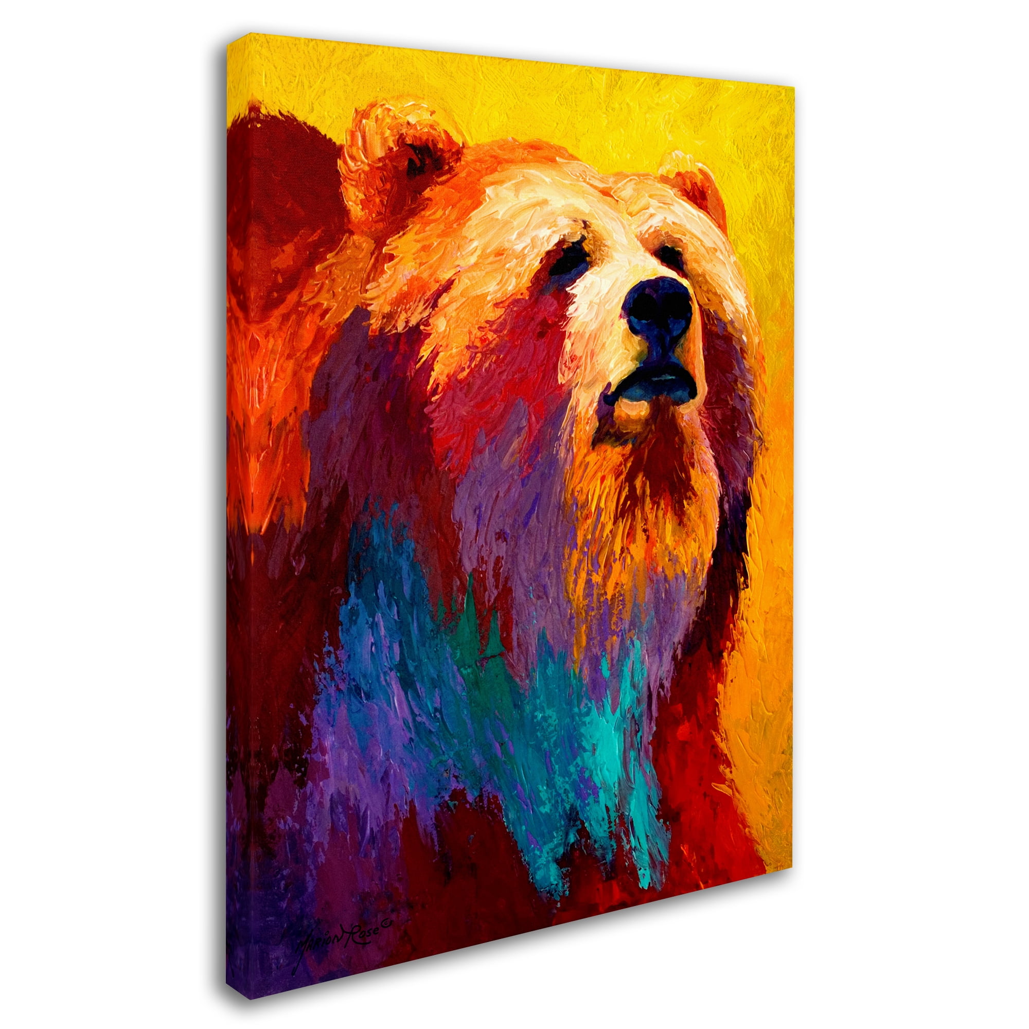 Marion Rose 'Ab Grizz III' Canvas Art