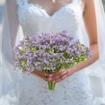 thumbnail image 4 of Cielo Lleno De Ramos De Novia Espuma Gypsophila Para Decoración Material Plástico Adorno Para Salón, 4 of 5