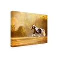 thumbnail image 2 of PHBurchett 'Golden Lit Horse II' Canvas Art, 2 of 3