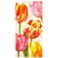 thumbnail image 2 of Glowing Tulips II Poster Print by Janel Pahl (24 x 48), 2 of 2