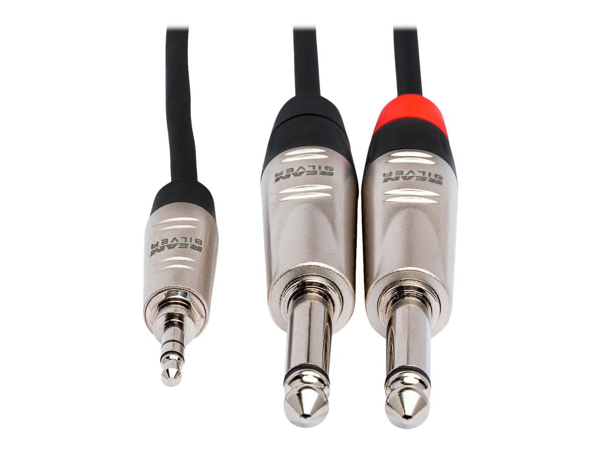 Hosa Technology Pro 10' Stereo Breakout, REAN 3.5mm TRS to Dual 1/4" TS