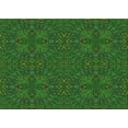 thumbnail image 1 of Ahgly Company Machine Washable Indoor Rectangle Transitional Dark Forest Green Area Rugs, 2' x 5', 1 of 7